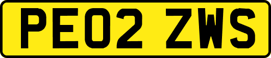 PE02ZWS