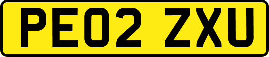 PE02ZXU