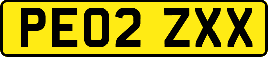 PE02ZXX