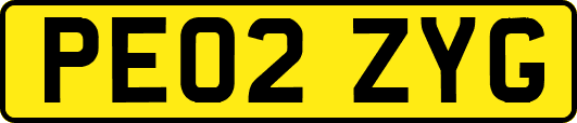 PE02ZYG