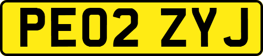 PE02ZYJ