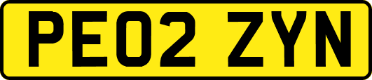 PE02ZYN