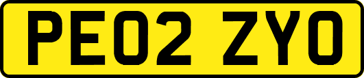 PE02ZYO