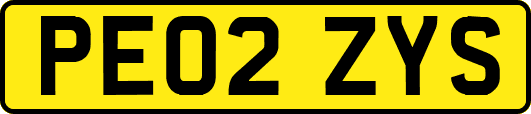 PE02ZYS