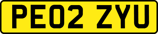 PE02ZYU