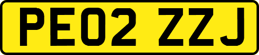 PE02ZZJ