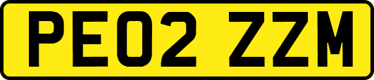 PE02ZZM