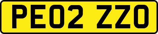 PE02ZZO