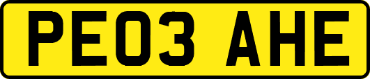 PE03AHE