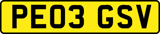 PE03GSV
