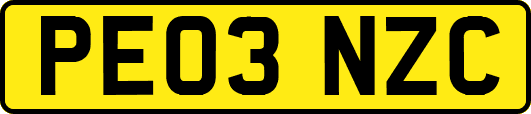 PE03NZC