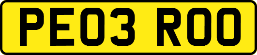 PE03ROO