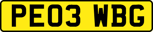 PE03WBG