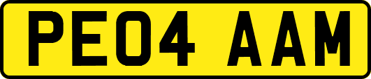 PE04AAM