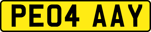 PE04AAY