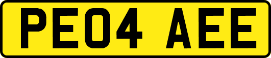 PE04AEE