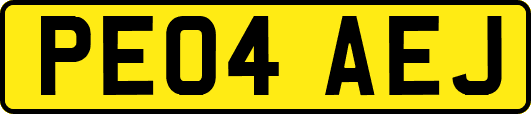 PE04AEJ