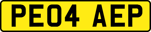 PE04AEP