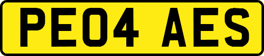 PE04AES