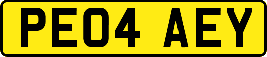 PE04AEY