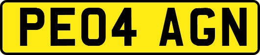 PE04AGN