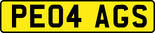 PE04AGS