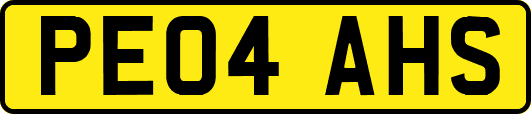 PE04AHS