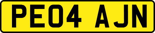 PE04AJN