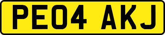 PE04AKJ
