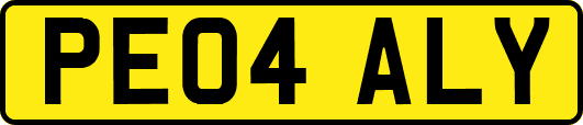 PE04ALY