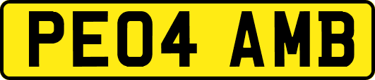 PE04AMB