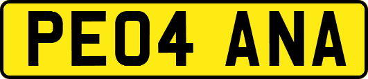 PE04ANA