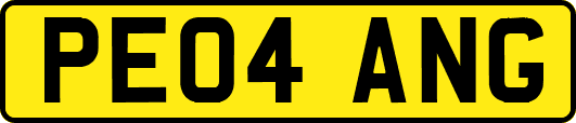 PE04ANG