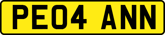 PE04ANN