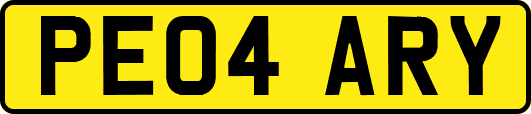 PE04ARY
