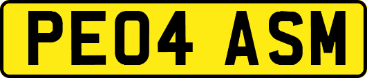 PE04ASM