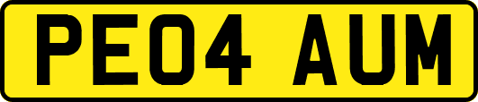 PE04AUM