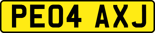 PE04AXJ