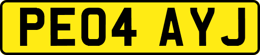 PE04AYJ