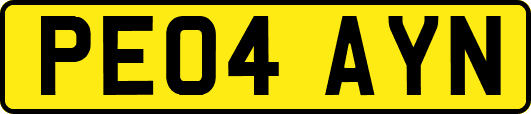 PE04AYN