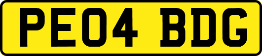 PE04BDG