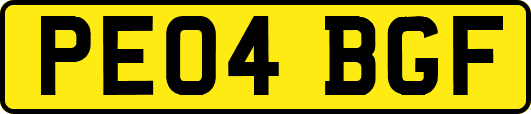 PE04BGF