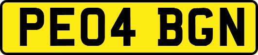 PE04BGN