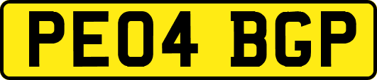 PE04BGP