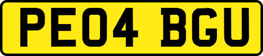 PE04BGU