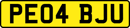 PE04BJU