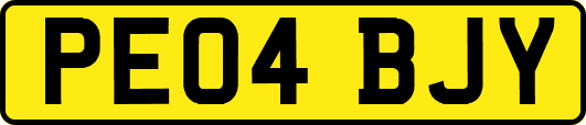PE04BJY