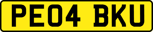 PE04BKU