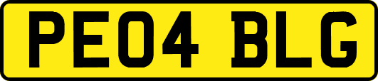 PE04BLG