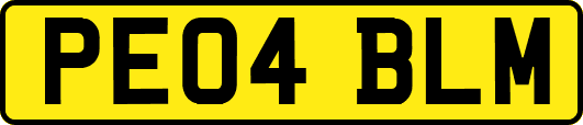 PE04BLM